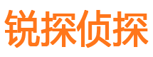 嵩县锐探私家侦探公司